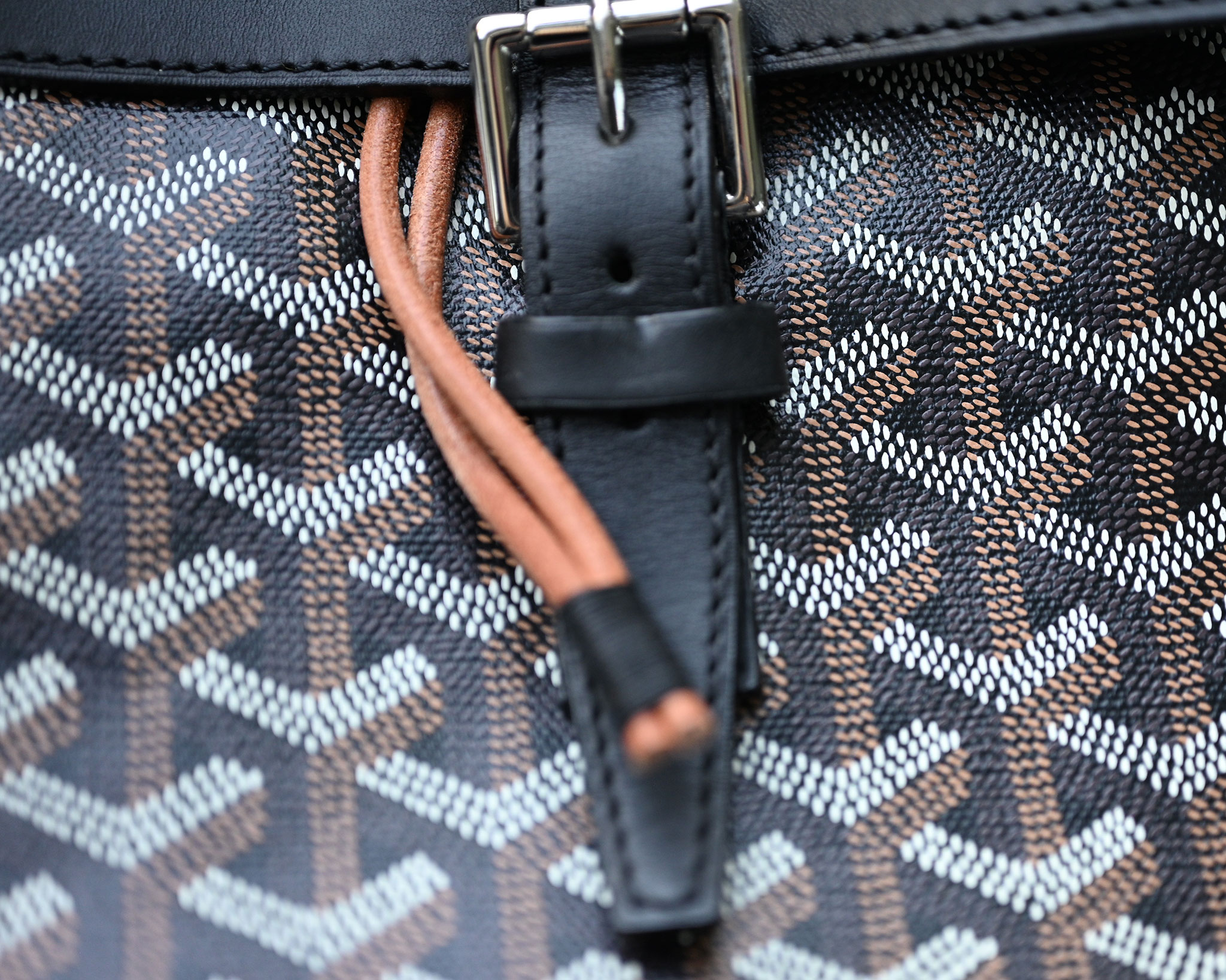 Goyard Alpin MM Backpack Rucksack Goyardine Schwarz – Bild 7